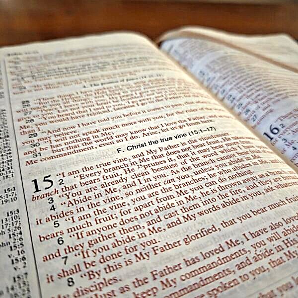 Bible opened to John 15